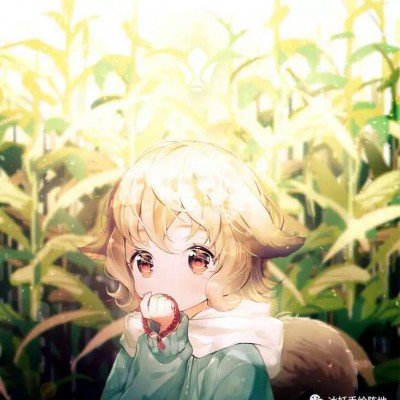 美元将印特朗普签名